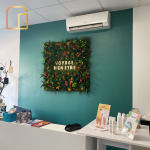 Alice DELEPINE - CasaBelle